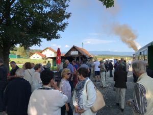 40875924 916780881864694 8541124831301599232 o 916780878531361