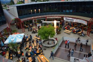 36176471 848204692055647 2145082769871470592 o 848204682055648